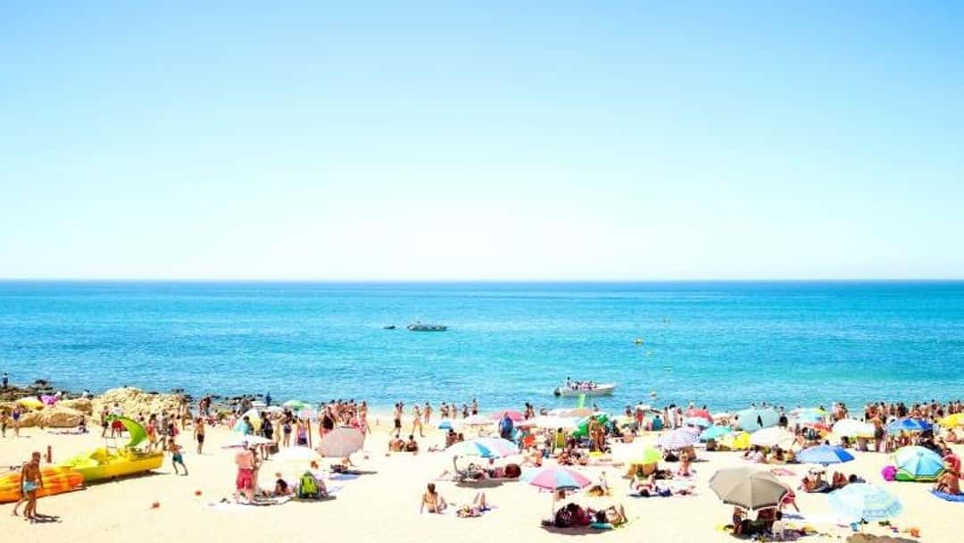 Unlimited leave: pros and cons