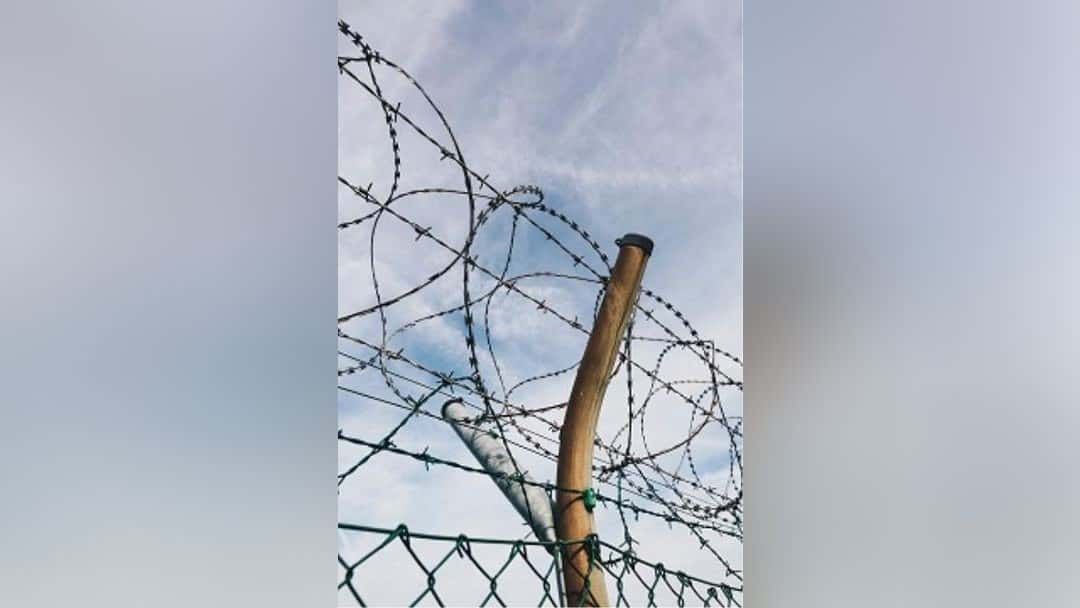 Prison reforms aim to cut numbers