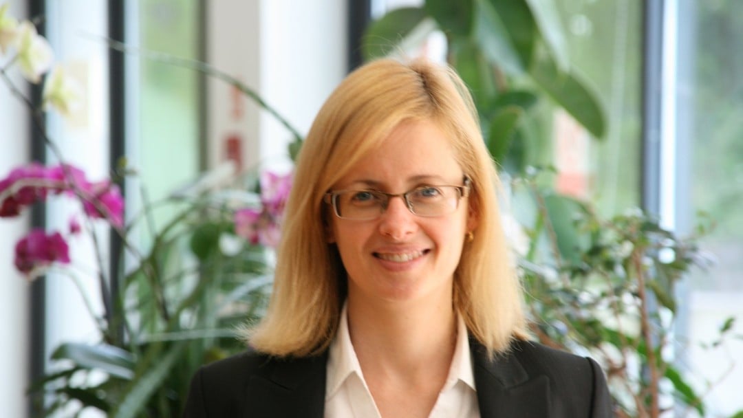 New leader appointed at BIICL