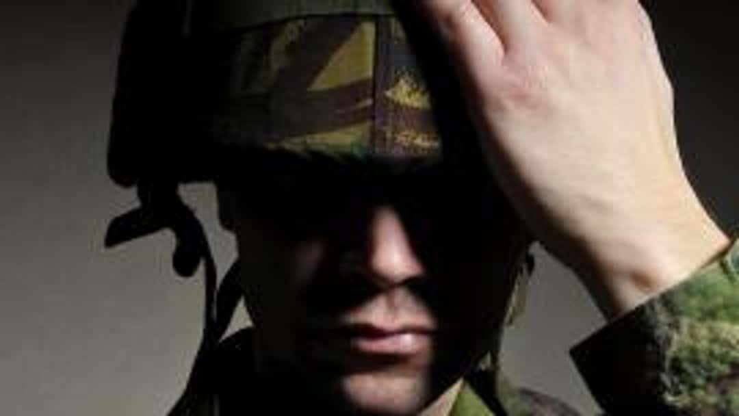 Armed Forces Bill Committee publishes report