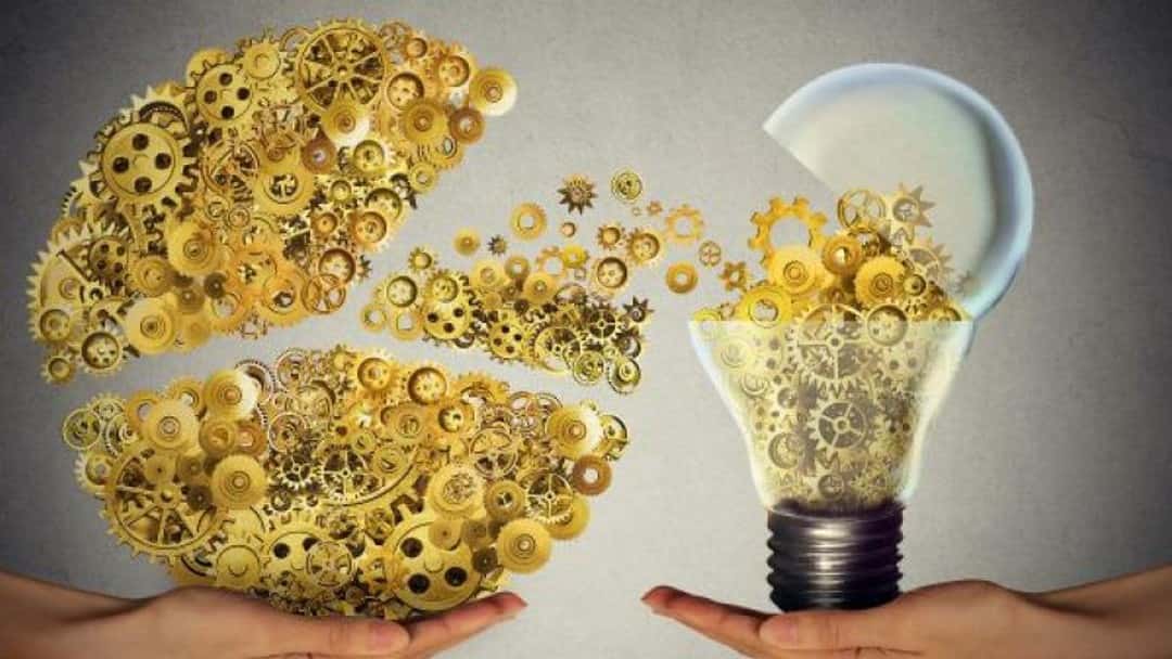 New rules on litigation funding needed