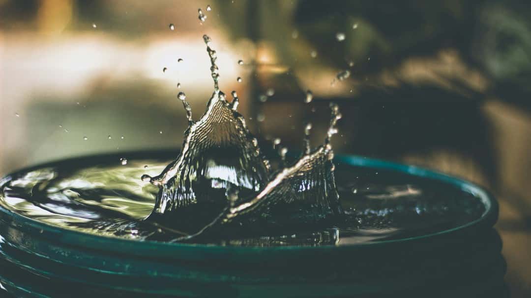 Why judicial review is crucial to address the failures in the SESRO approval process