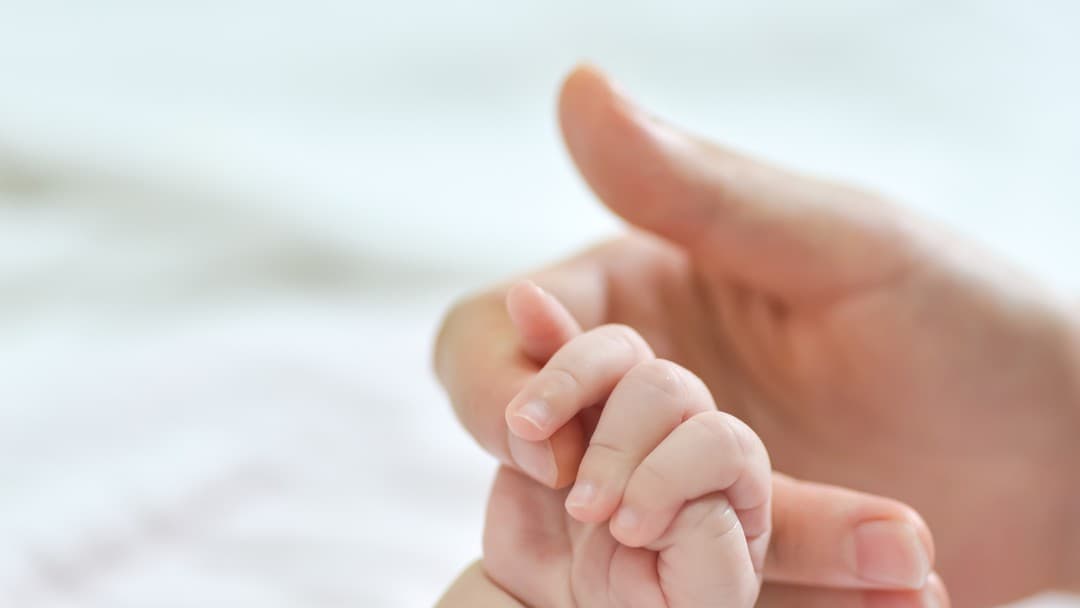 Sperm donor case highlights legal complexities