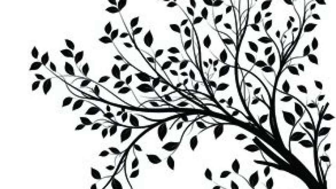 Embracing the multi-discipline model