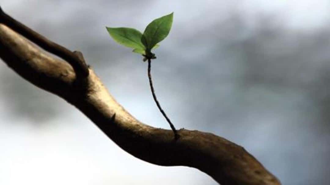 Legal Education and Training Review: new beginnings or missed opportunity?