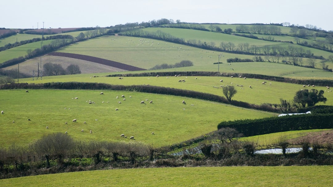 Why Agricultural Property Relief reforms pose challenges for farming families