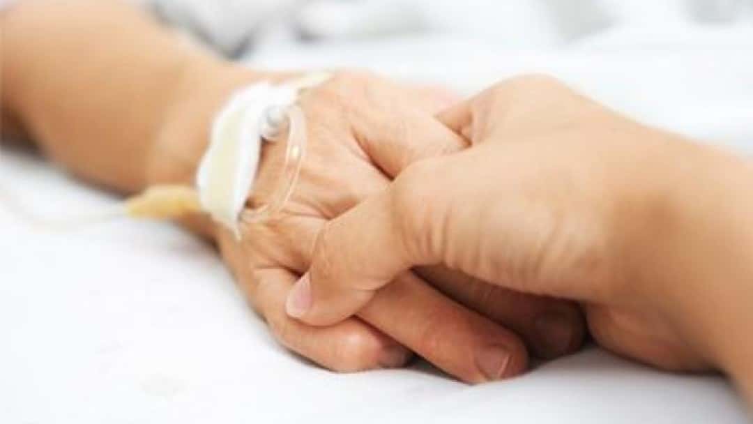 Your wish is my command