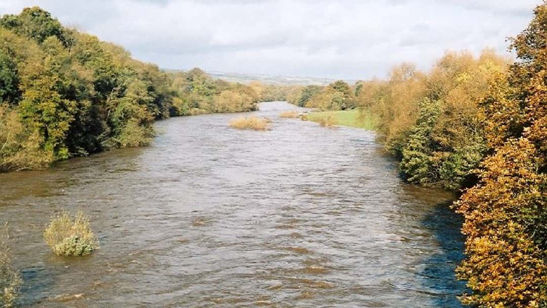 New law to ban bonuses for polluting water bosses