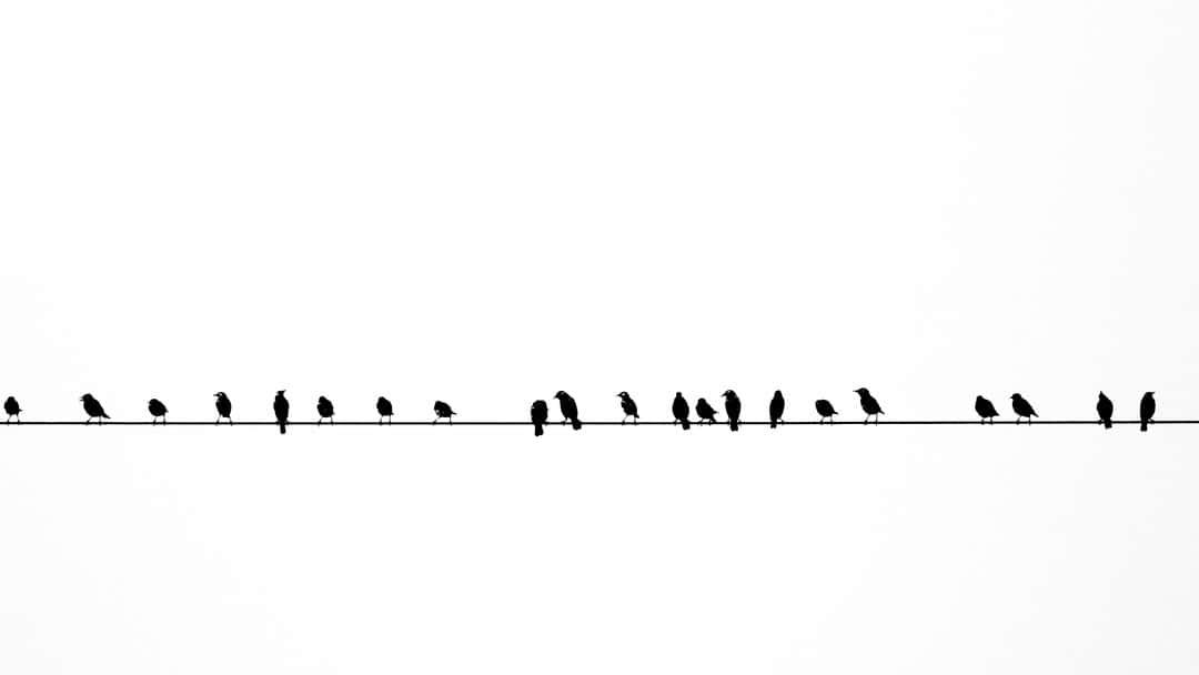 Shaping the future of litigation funding: the Civil Justice Council’s vision for reform