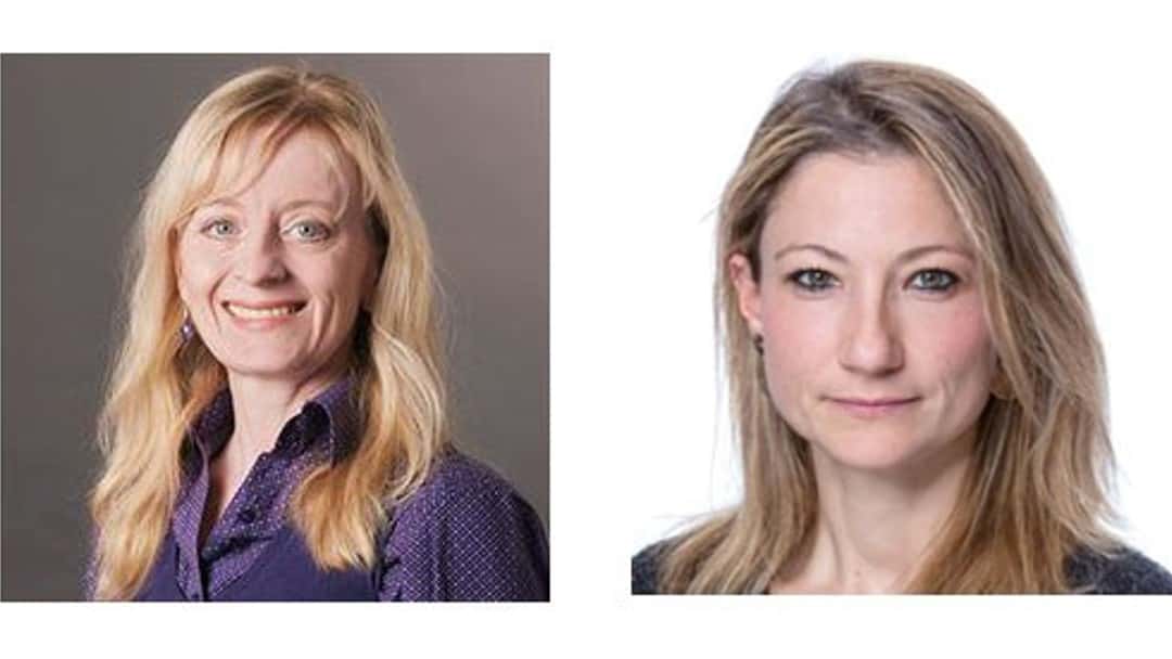 Newly appointed commissioners lead Law Commission