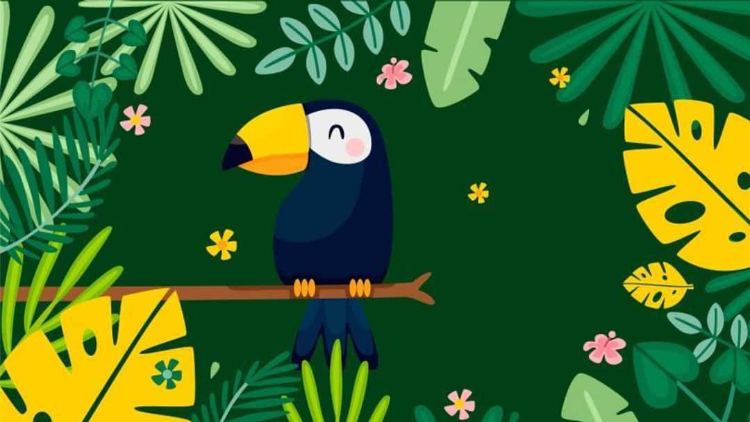 Stephenson Law launch innovative advice platform