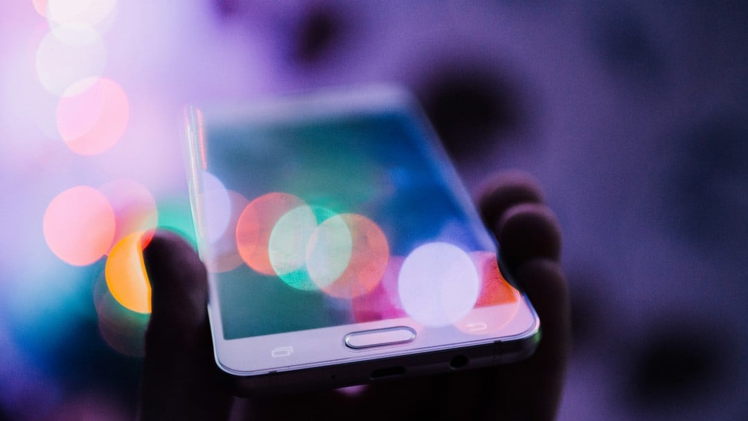 Digital identity, privacy and the rule of law