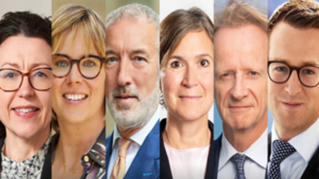 Senior barristers appointed to advise government