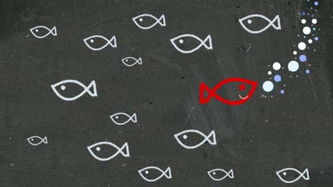 Magic Circle firms chase big data to find best graduates from all backgrounds