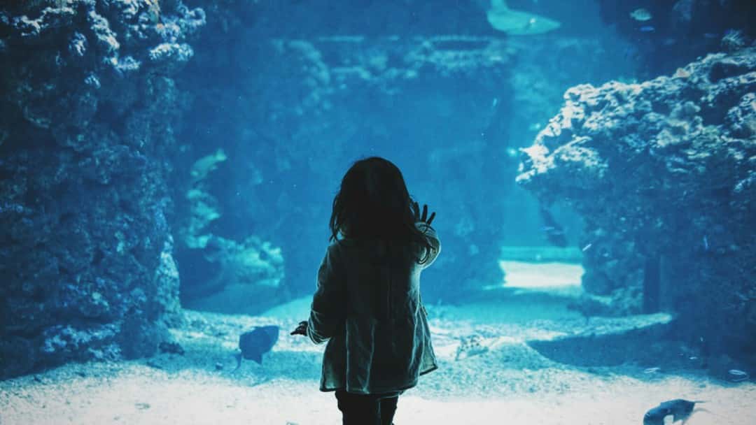 The painful reality of the Sara Sharif case