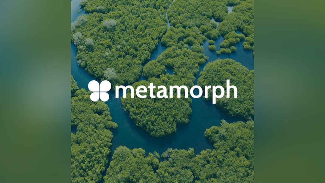 Metamorph Group ordered to pay £570,000 