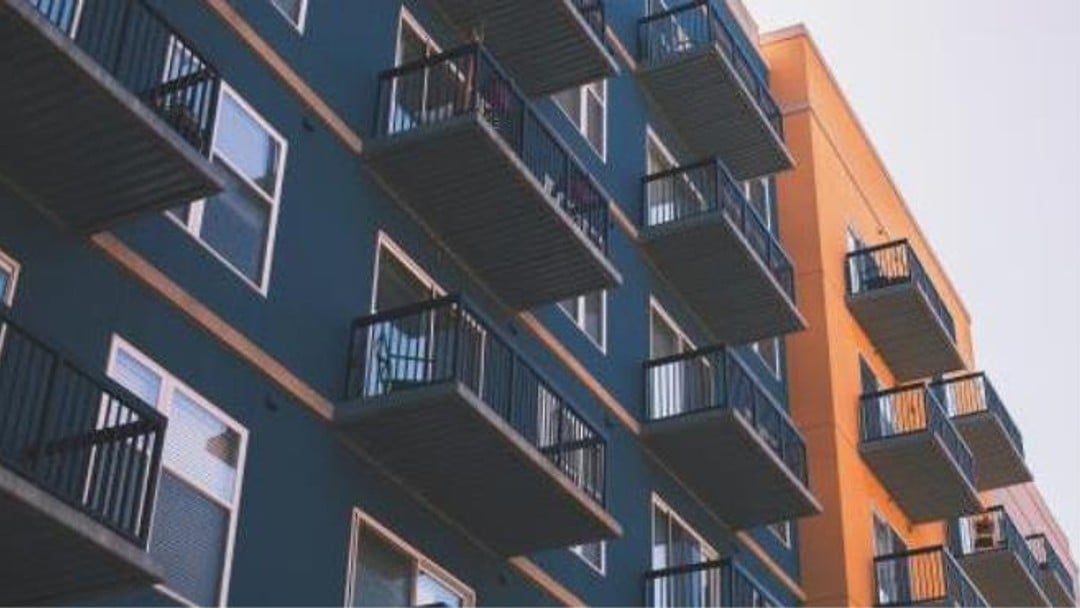 Government must protect leaseholders from cladding costs, says Law Society