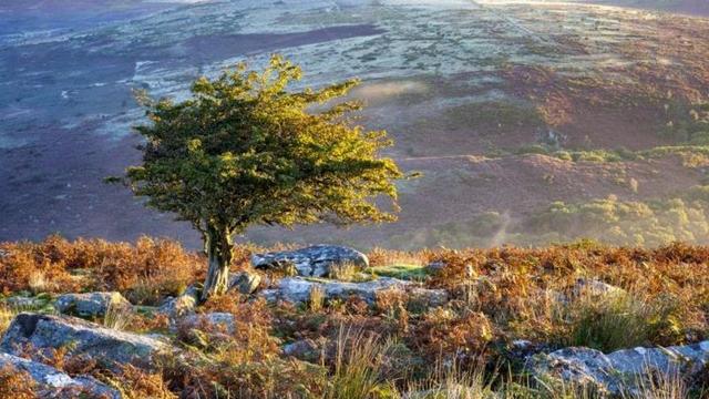 Court of Appeal overturns High Court ruling on Dartmoor camping