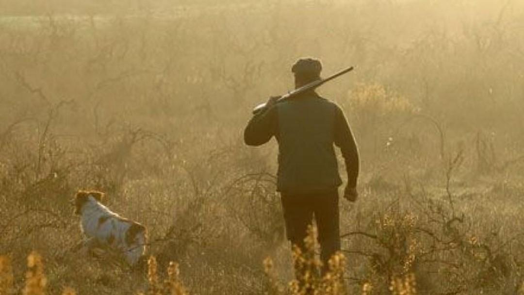 Mandatory membership of local hunt breaches property rights