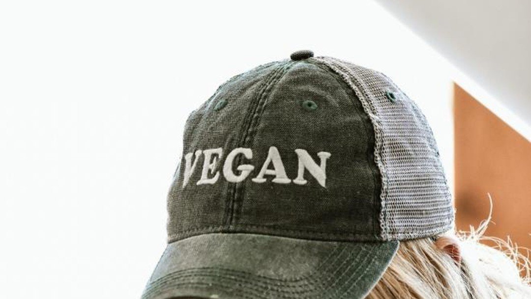 Vegan's belief system protected under equality law