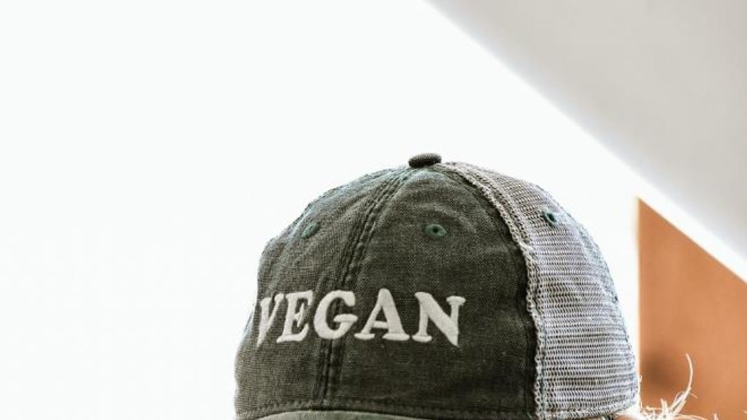 Vegan's belief system protected under equality law