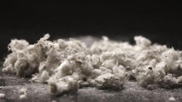 Victory for asbestos victims in Supreme Court