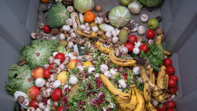 Feedback launches legal challenge to decision not to require food waste reporting
