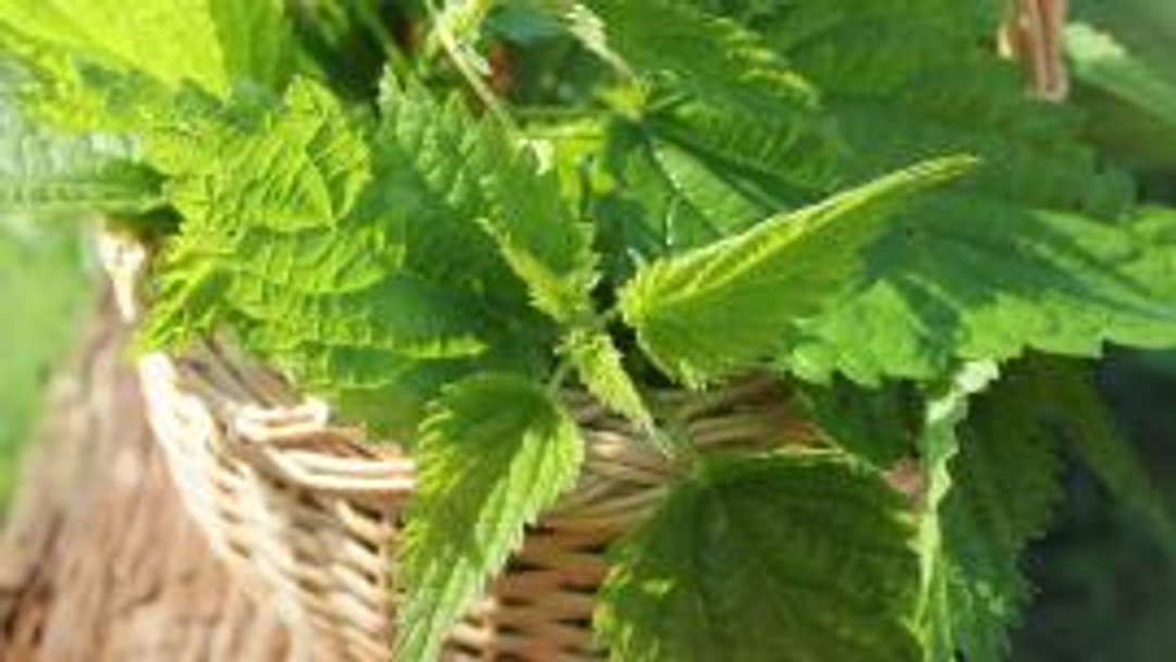 Grasping the nettle of conveyancing claims